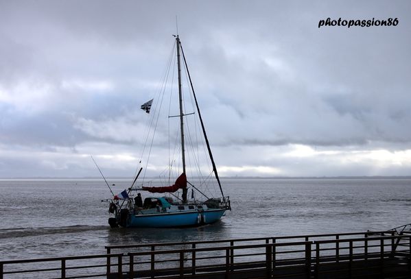 Copie-de-DSC_0086.JPG