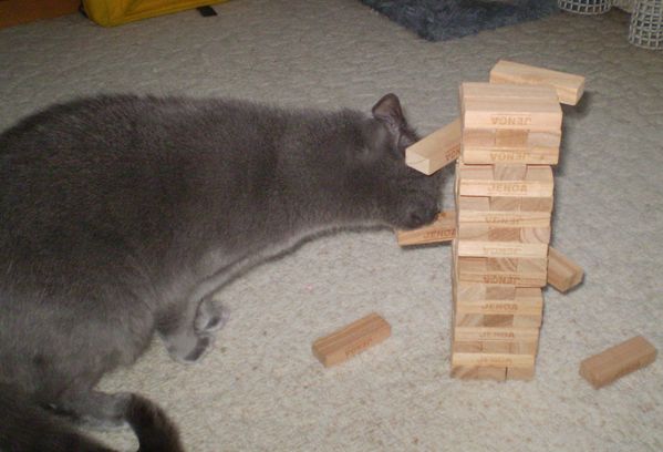 20101112 25