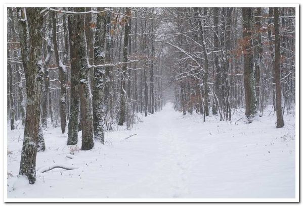 Neige-073.jpg