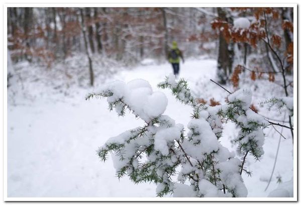 Neige 079