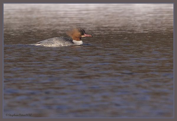 HarlebievreDyle.12.01-10.jpg