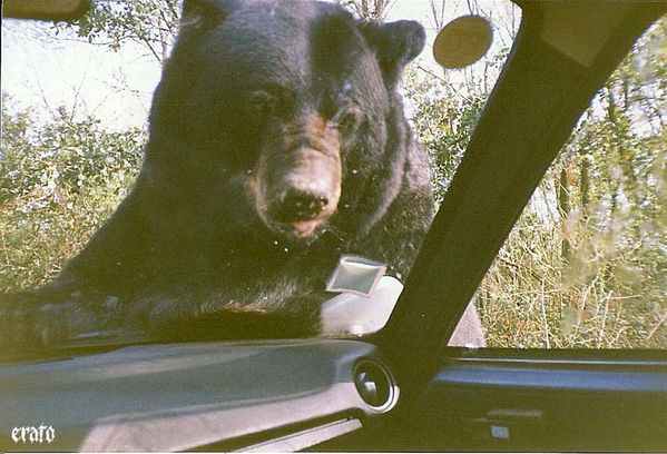 ours-1.jpg