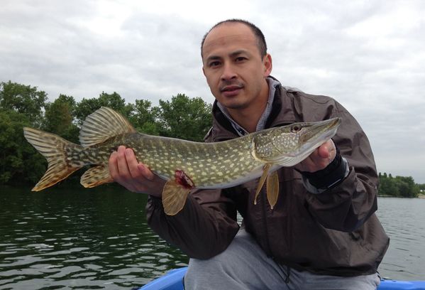 Brochet Miribel - 12/05 à 8h10