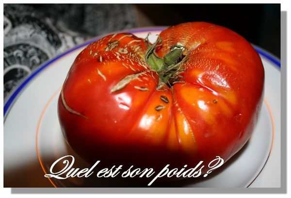 tomates02.jpg