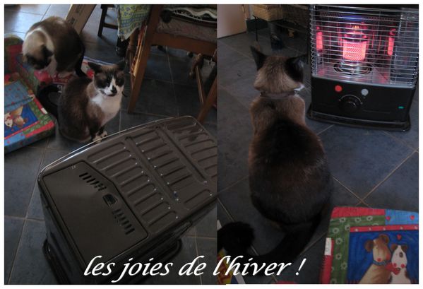 devant-le-feu.jpg
