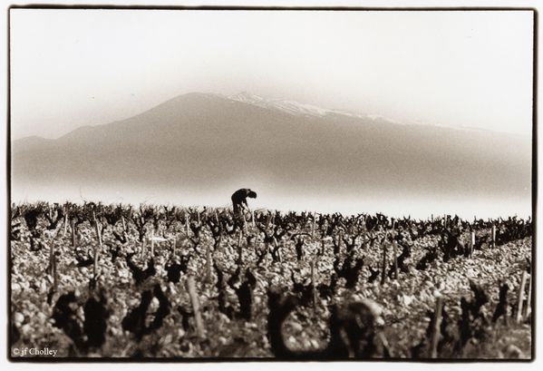 Ventoux