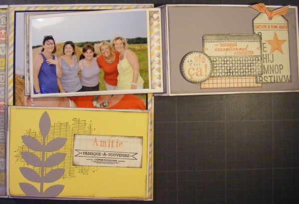 DSCF6387--Copier-.JPG