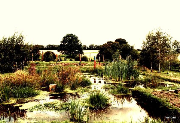 Plantations aquatiques
