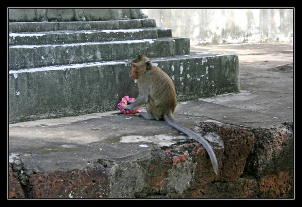 08 Phnom Penh