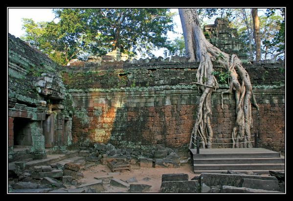 Ta Prohm09