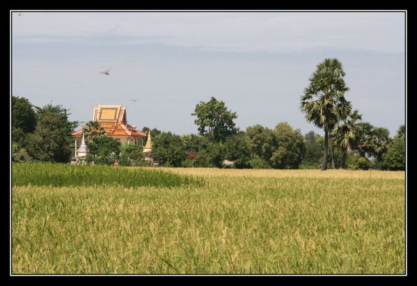 EmpireKhmer011