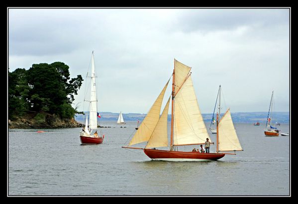 019Dauphin