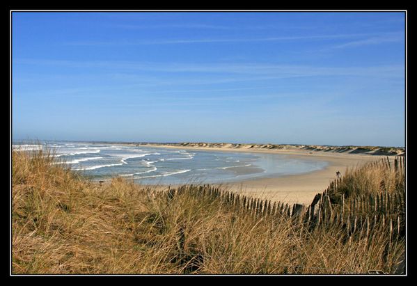A01Tronoen