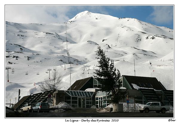 IMG_8239_low.jpg