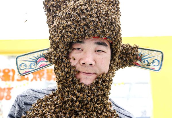 beekeeper-is-seen-ed72-diaporama.jpg