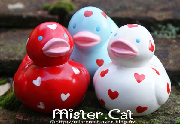 canards-plastique-saint-valentin-mister-cat-8