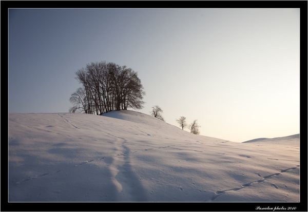 paysages-0676.jpg
