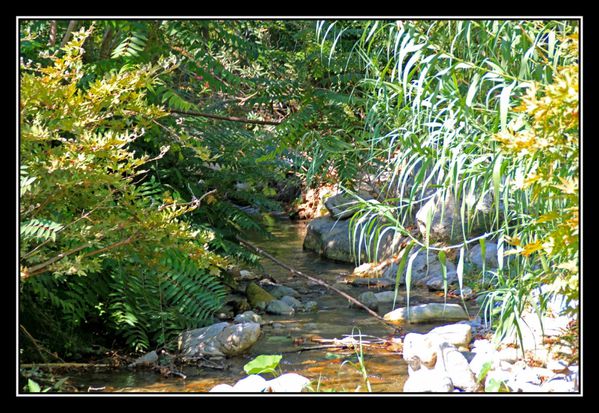 010riviere