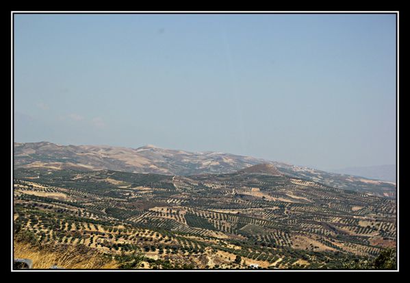08Messara