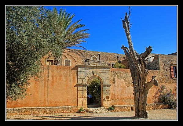 P19Arkadi
