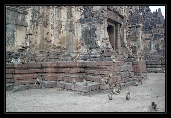 b02 Temple Singes