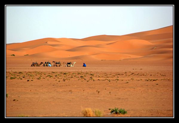 A20 Maroc