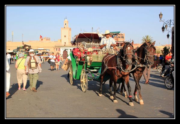 C08 Marrakech