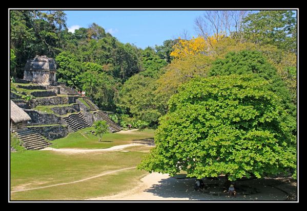 Q13 Declin Maya