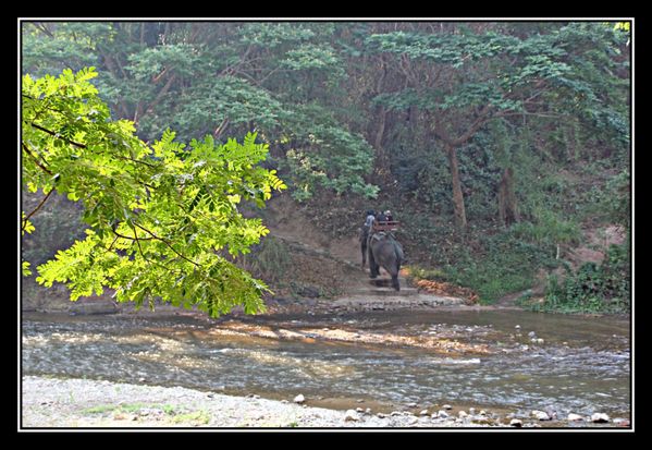 A15 Thailande