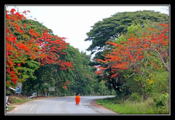 B20 Thailande