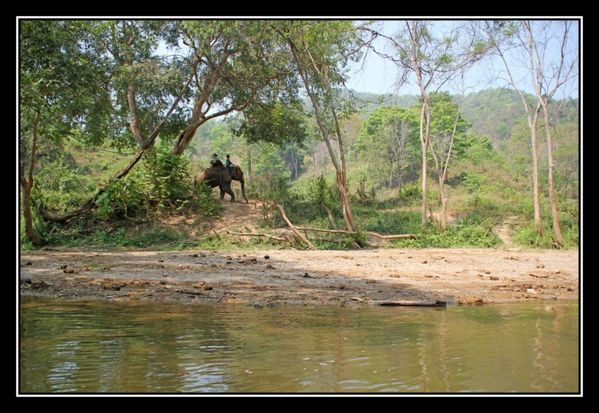 O23 ElephantAsie