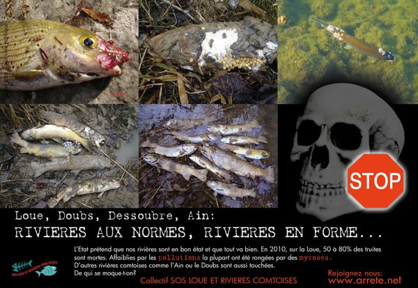01--FLYER---RIVIERES-AUX-NORMES.jpg