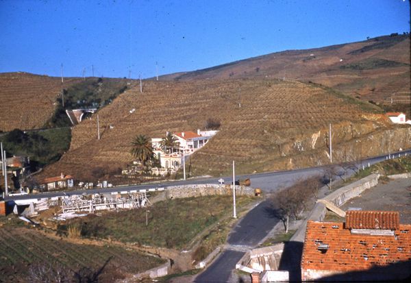 elmes-4.jpg