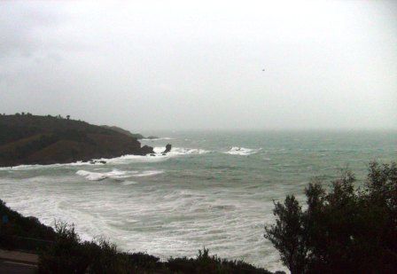 S7305925.jpg