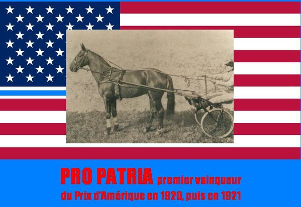 Pro-Patria-premier-vainqueur-du-Prix-d-Amerique-en-1920--pu.jpg