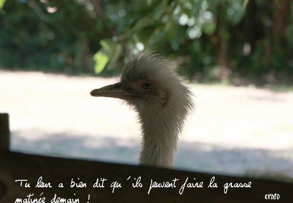 recueil-59-3289-a.jpg