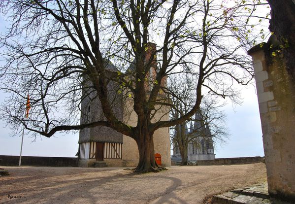 Chateau-de-Blois 0010