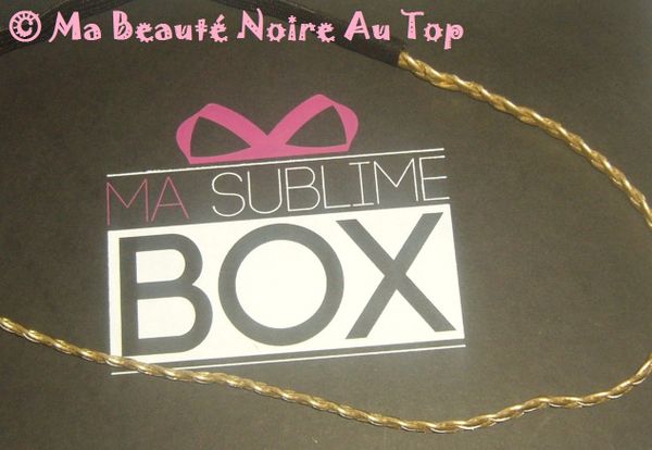 MSB SPRING6
