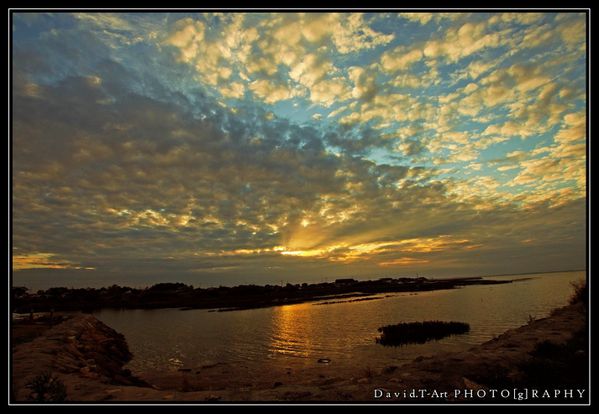 Gujan mestras, Port du larros (1)