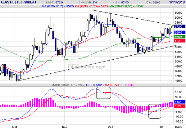 Wheat-11-janvier-2010.png