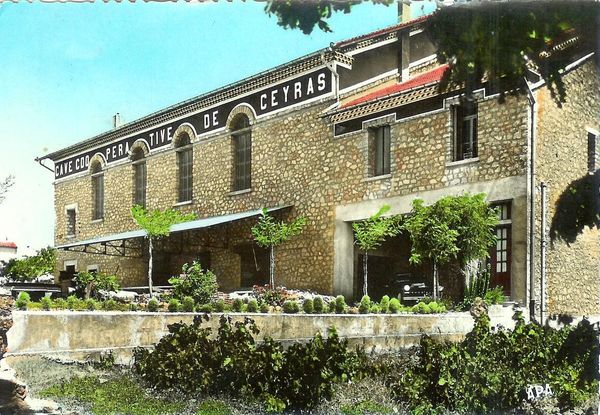 coope-Ceyras-3.jpg