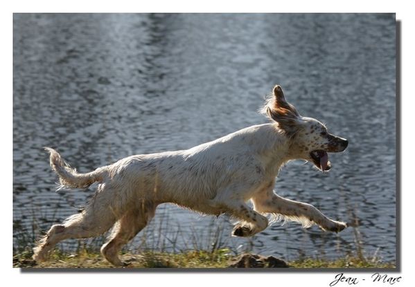 Saxo sorti de l'eau