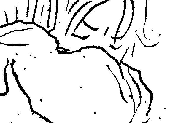 detail.png