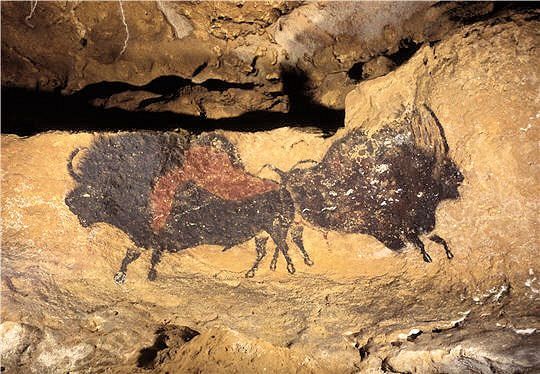 bisons-lascaux-645174.jpg