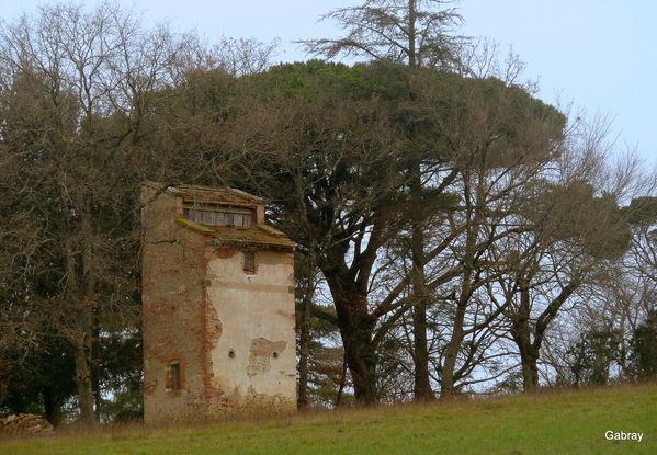 L24 - Pigeonnier dans les arbres