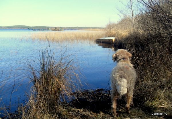 lac-058.jpg