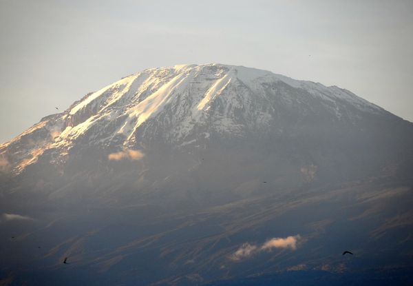 Kilimandjaro--6--copie-1.JPG