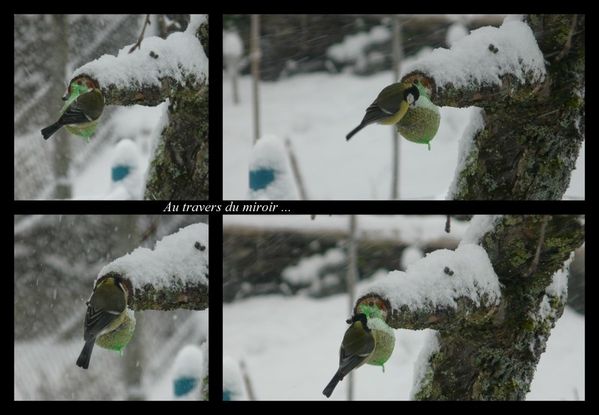 20120129-173142.jpg