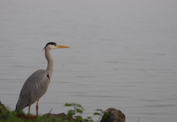 Rencontre lac saint jean
