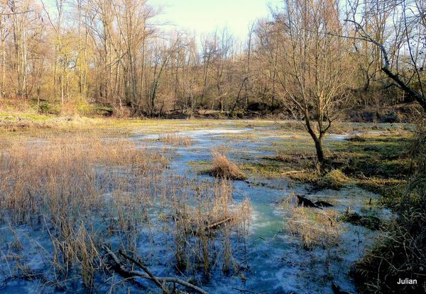 U05 - Etang gelé